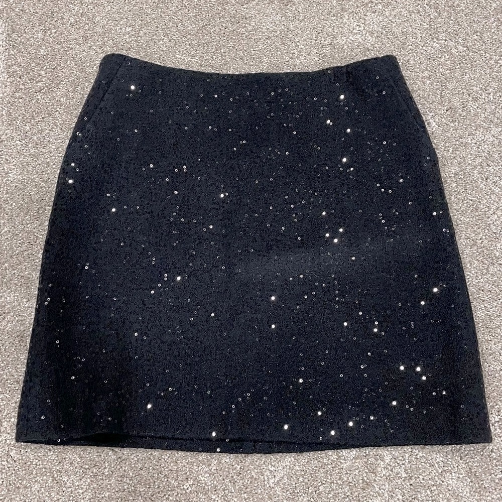 Sequin Skirt
